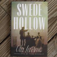 Swede Hollow:  Novel of Swedish immigrants in Minnesota in late 1800's