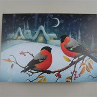 Box of 12 Christmas cards "Winter Birds" English text 7" x 5"